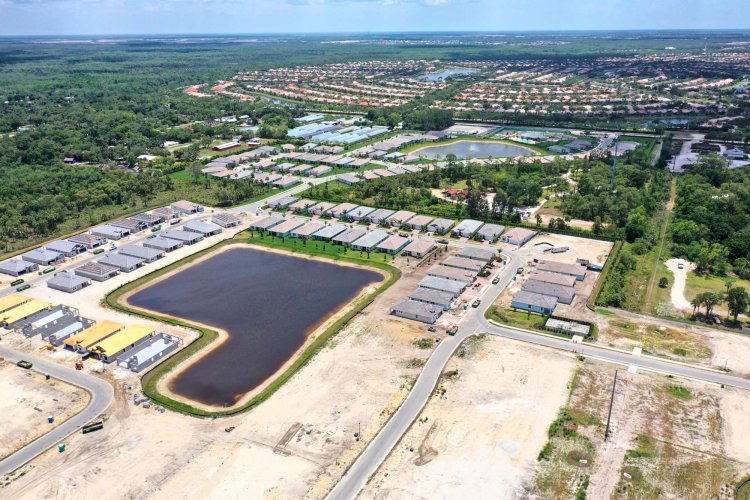 Tamarindo Naples Florida aerial view