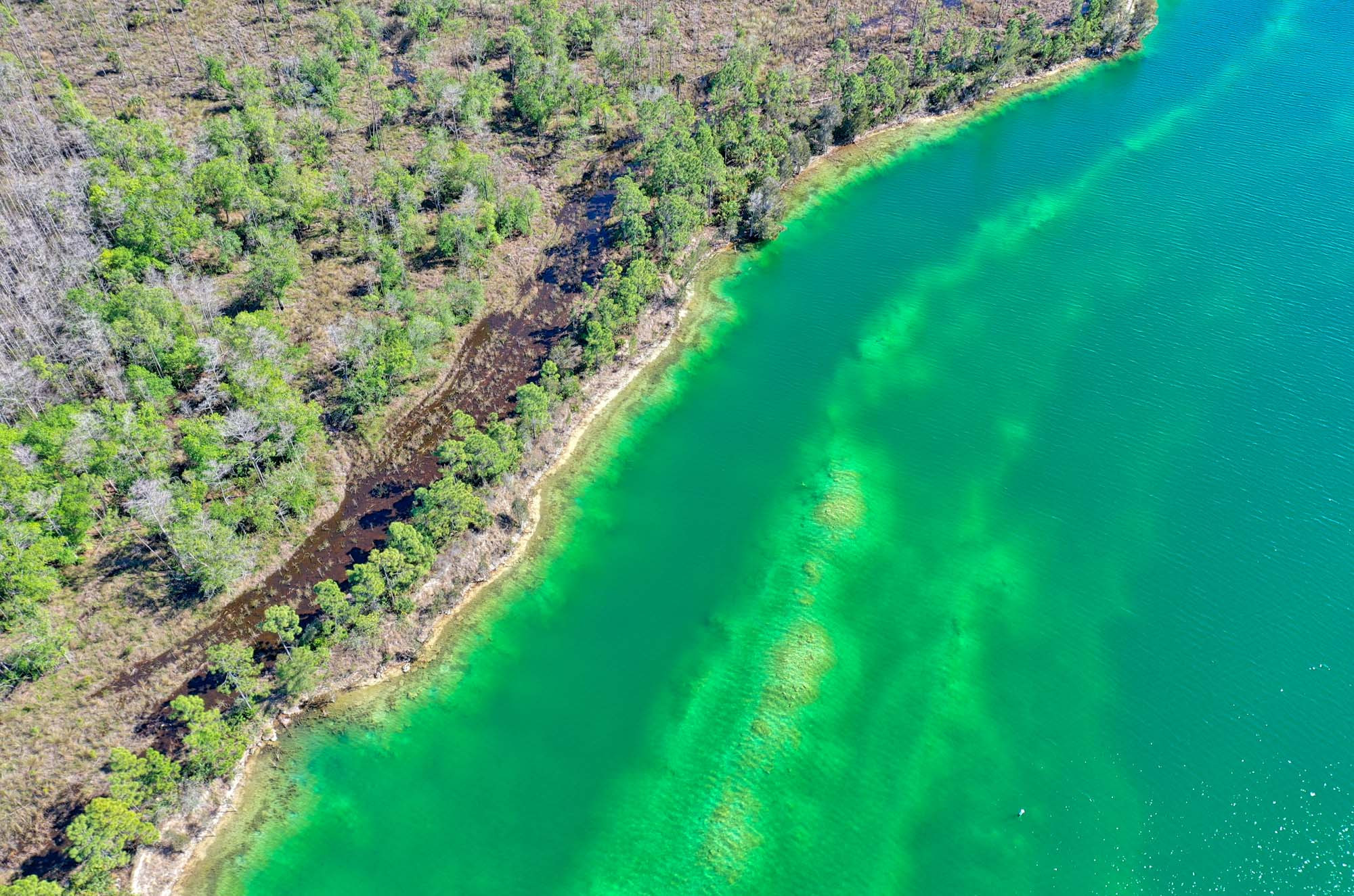 WILDBLUE, Fort Myers, Florida,  image description: WildBlue Lake Estero FL